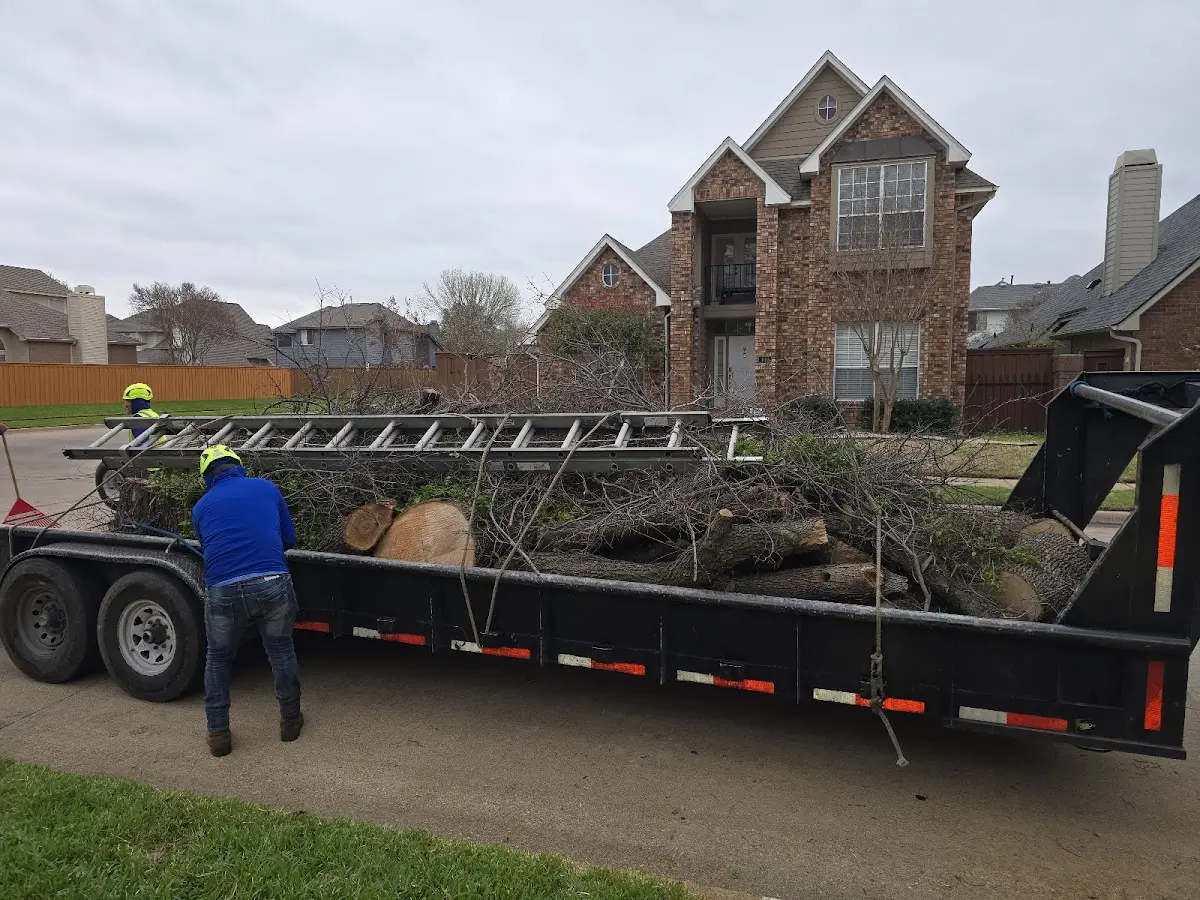 Expert Tree Fertilization with proper safety equipment in Hambleton